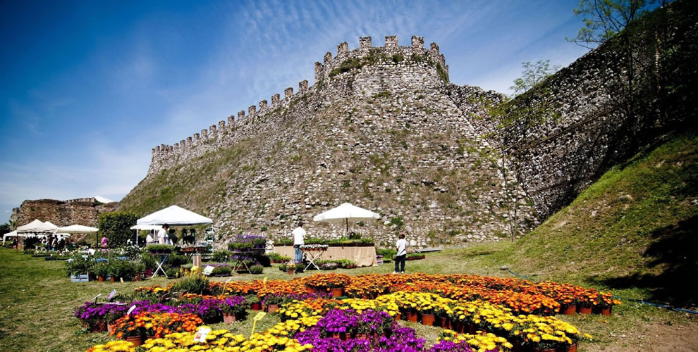 Fiori nell Rocca - Lonato del Garda